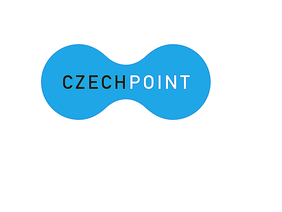 Government v obcích