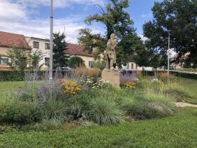 Následná péče o zeleň 2021