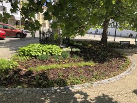 Následná péče o zeleň 2022