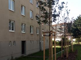 „Staré“ sídliště Brněnská