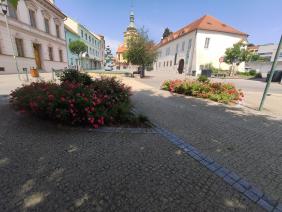 Následná péče o zeleň v roce 2023