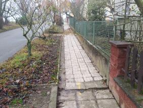 Chodník Vrchlického