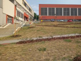 Intravilánová zeleň